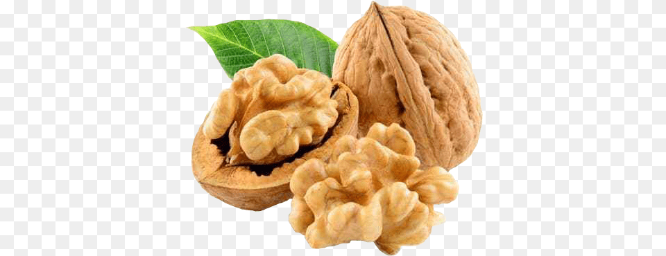 Privacy Policy Walnut, Food, Nut, Plant, Produce Free Png Download