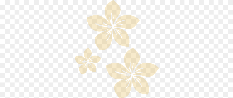 Private Patio And Gardens Plumeria Transparent, Art, Floral Design, Graphics, Pattern Png Image