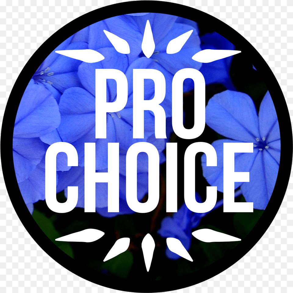 Pro Choice Quotes Tumblr Hd Pro Choice Or No Voice Pro Choice, Flower, Plant, Petal Free Png