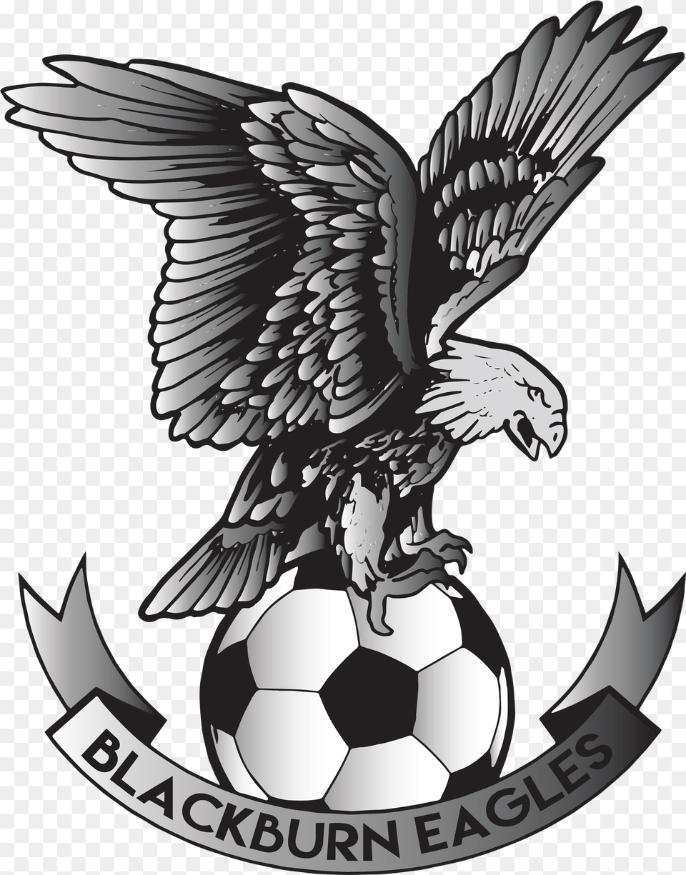 Pro Football Academy Futures Blackburn Eagles Fc, Emblem, Symbol, Animal, Bird Free Transparent Png