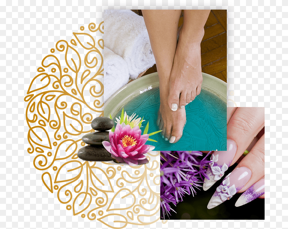 Pro Nails Amp Skin Manicure, Body Part, Person, Nail, Hand Png Image
