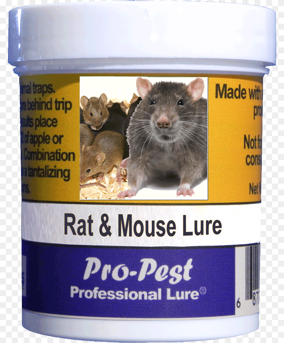 Pro Pest Rat Amp Mouse Lure Prof 4 Oz Jars 10ct Rat, Animal, Mammal, Rodent Free Png Download