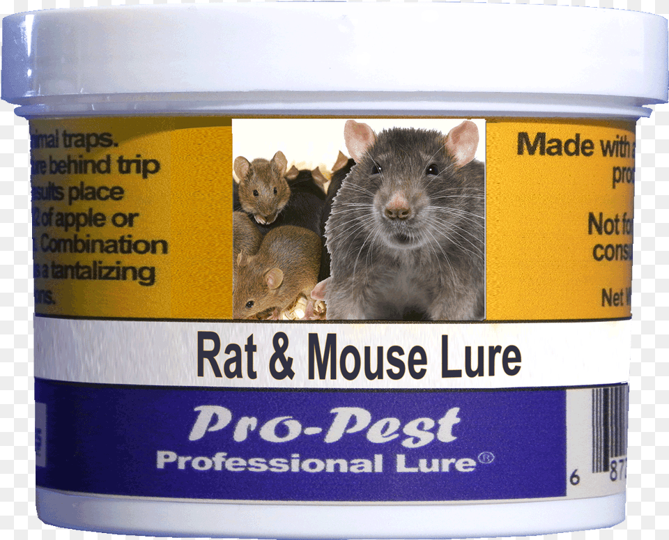 Pro Pest Rat Amp Mouse Lure Prof 8 Oz Jars 8ct Rat, Animal, Mammal, Rodent, Can Free Png Download
