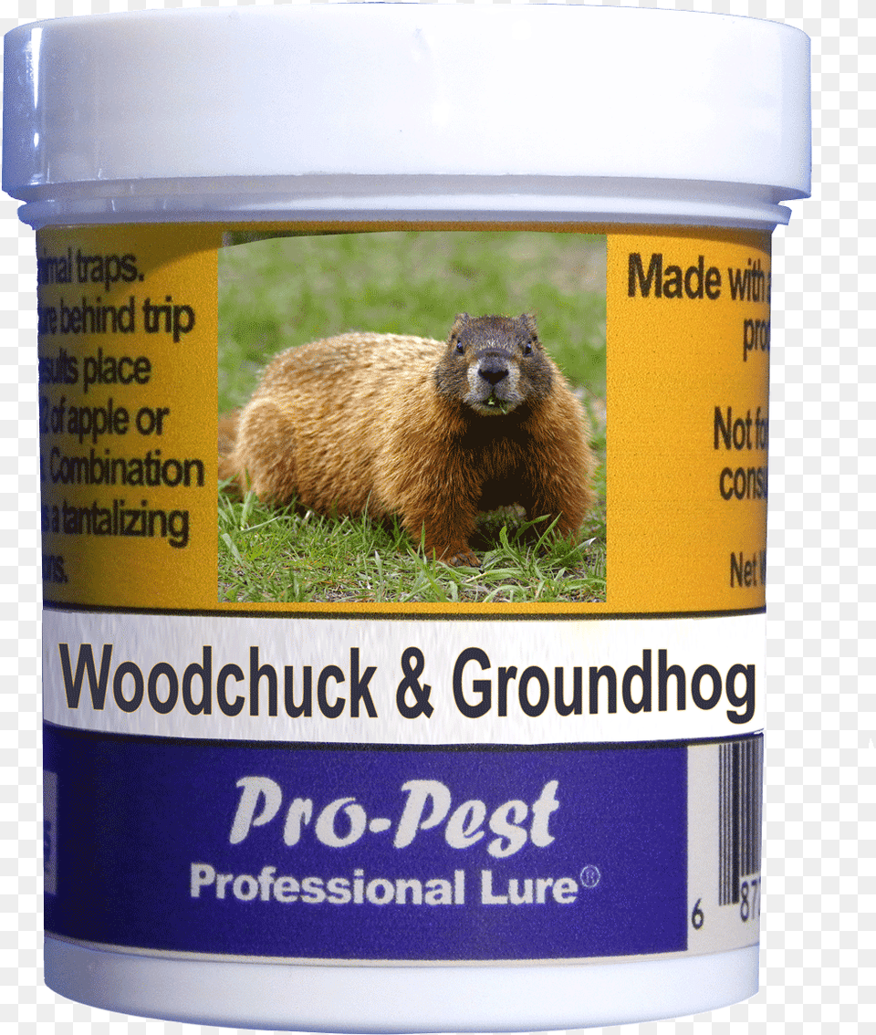 Pro Pest Woodchuckgroundhog Lure Prof 4 Oz Jars 10ct Punxsutawney Phil, Animal, Mammal, Rat, Rodent Png