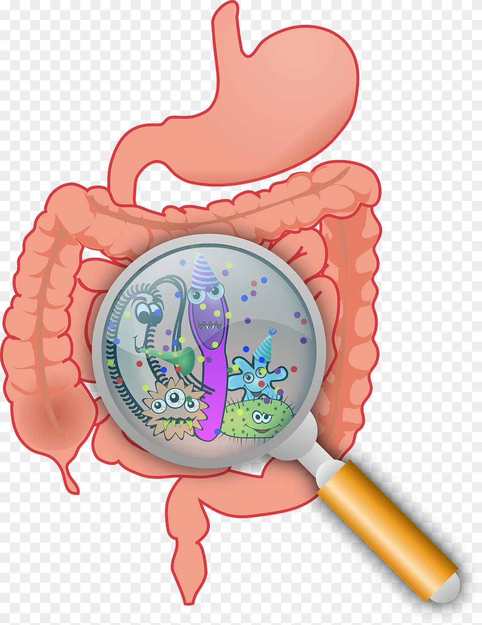 Probiotics And Stomach Acid Prebiotics For Gut Health, Magnifying, Dynamite, Weapon Free Transparent Png