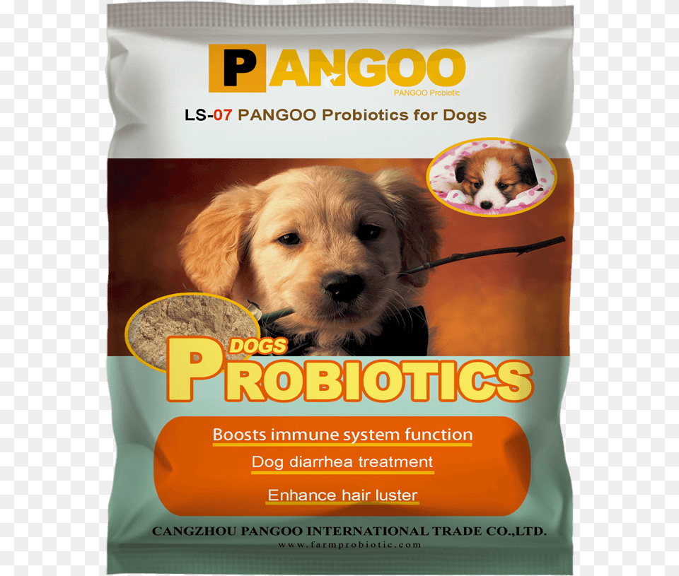 Probiotics For Dogs Probiotics Pigs, Advertisement, Poster, Animal, Canine Free Transparent Png
