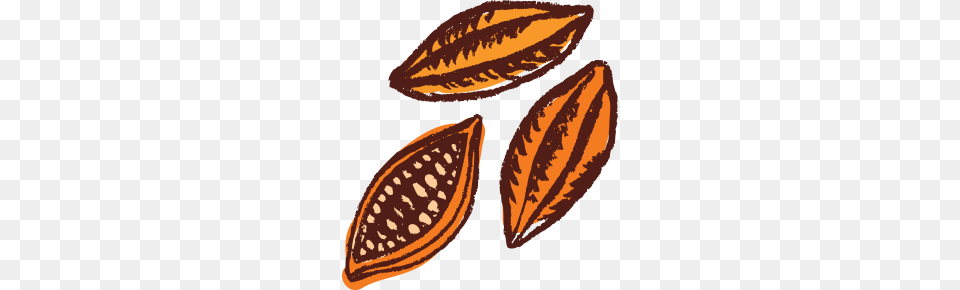 Proceso De, Food, Produce, Grain, Cocoa Png