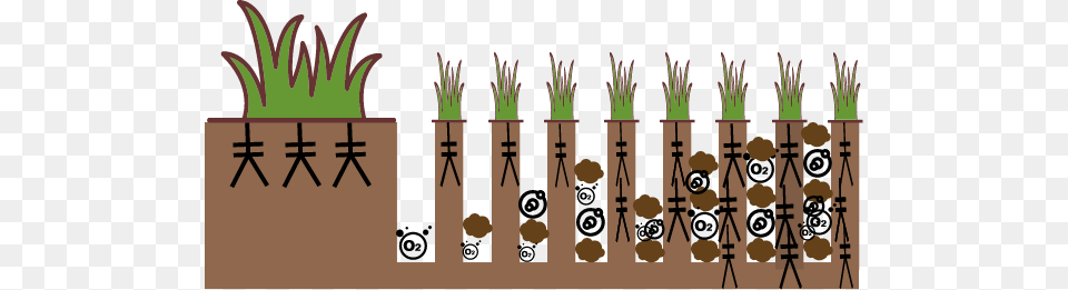 Process Of Aeration Compost Top Dressing Nutrients Compost Topdressing, Person Png