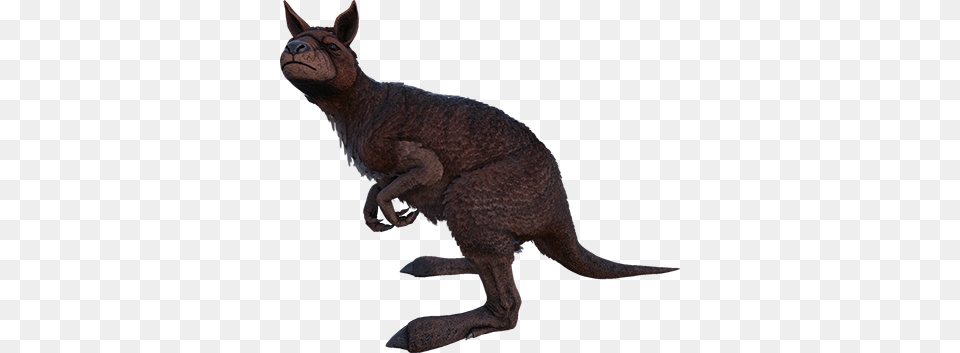 Procoptodon Ark Procoptodon, Animal, Kangaroo, Mammal Free Png