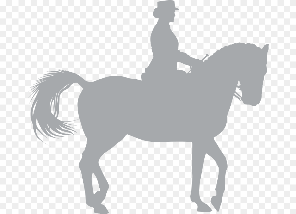 Prodotti Amerigosaddles, Adult, Female, Person, Woman Free Transparent Png