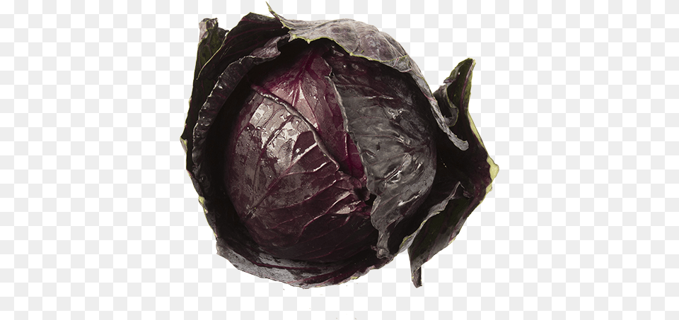 Produce Red Cabbage 1ea Red Cabbage, Food, Leafy Green Vegetable, Plant, Vegetable Free Png