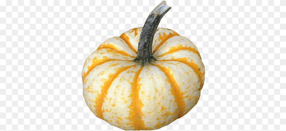 Product, Food, Plant, Produce, Pumpkin Free Transparent Png