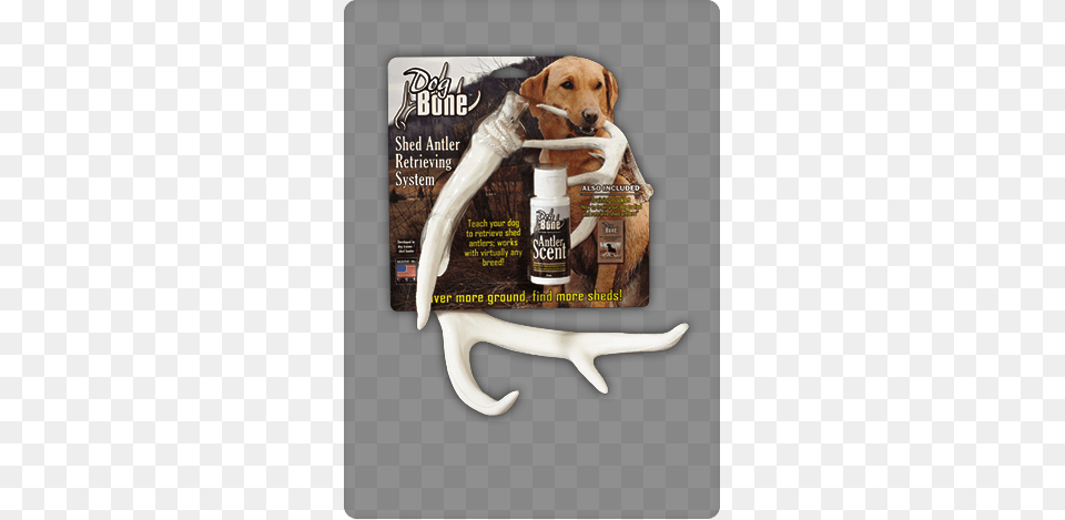 Product Dog Bone Shed Antler Training System Dog Bone Shed Dummy Retrieving Antler, Advertisement, Animal, Canine, Hound Free Transparent Png