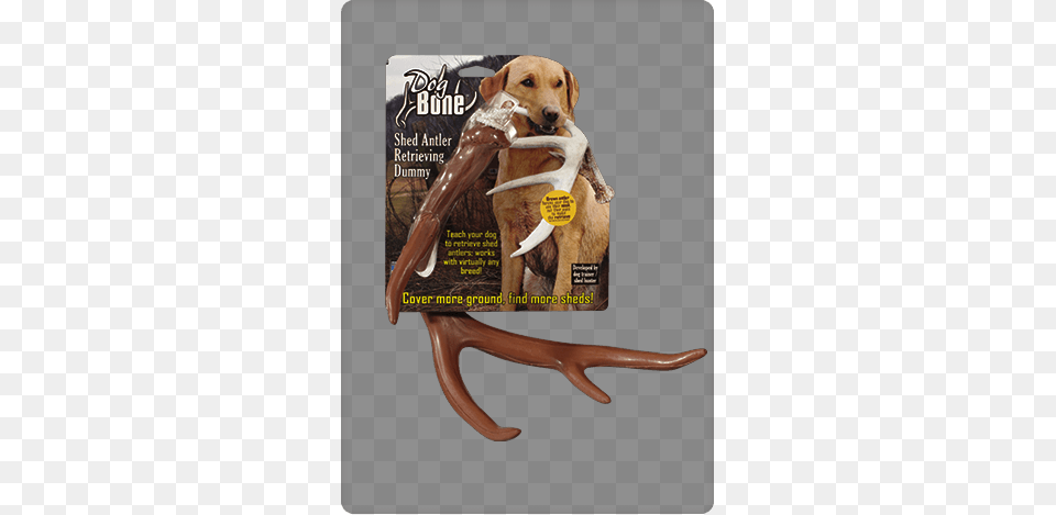 Product Dog Bone Shed Soft Brown Retrieving Antler Dog Bone Shed Dummy Retrieving Antler Brown, Animal, Canine, Mammal, Pet Free Png Download