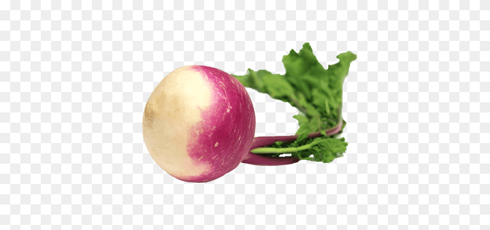 Product Grocery Sumo, Food, Produce, Plant, Turnip Png