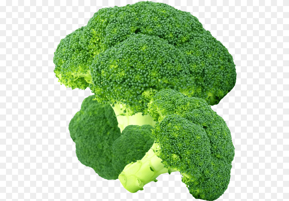 Product Image Broccoli, Food, Plant, Produce, Vegetable Free Png Download