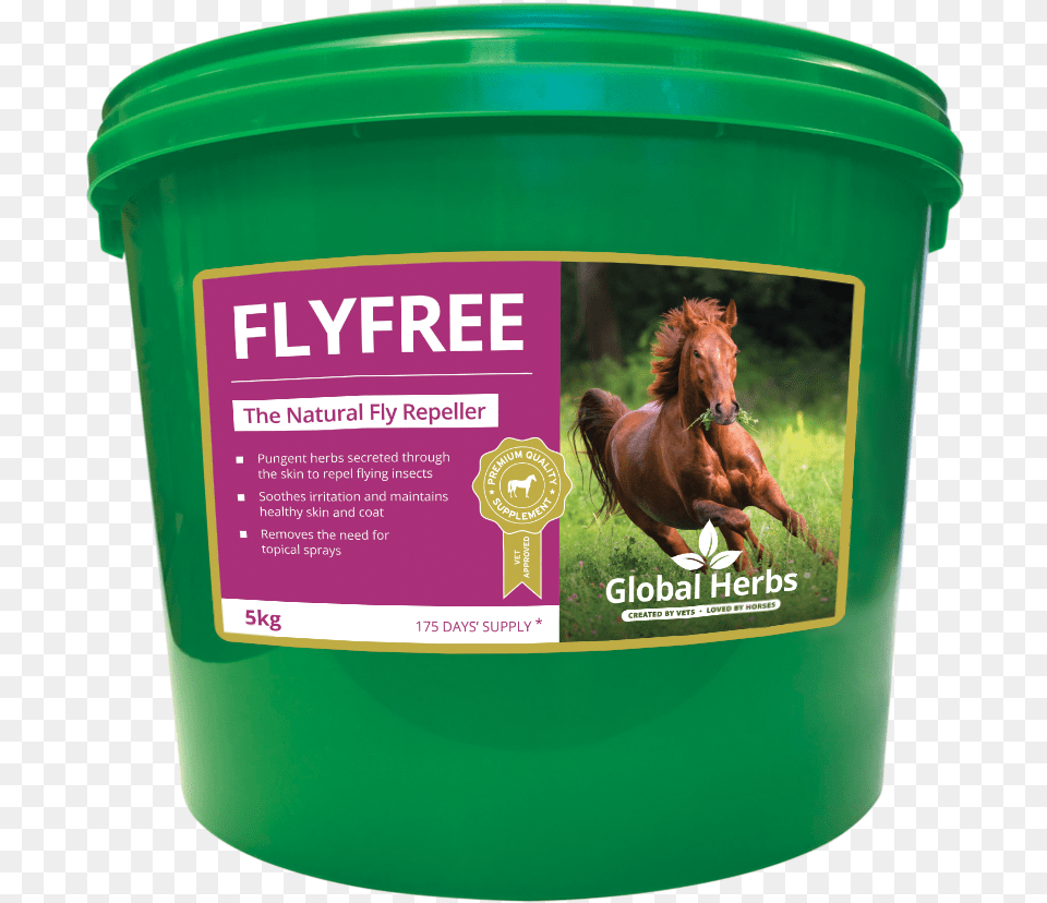 Product Image Global Herbs, Animal, Horse, Mammal Png