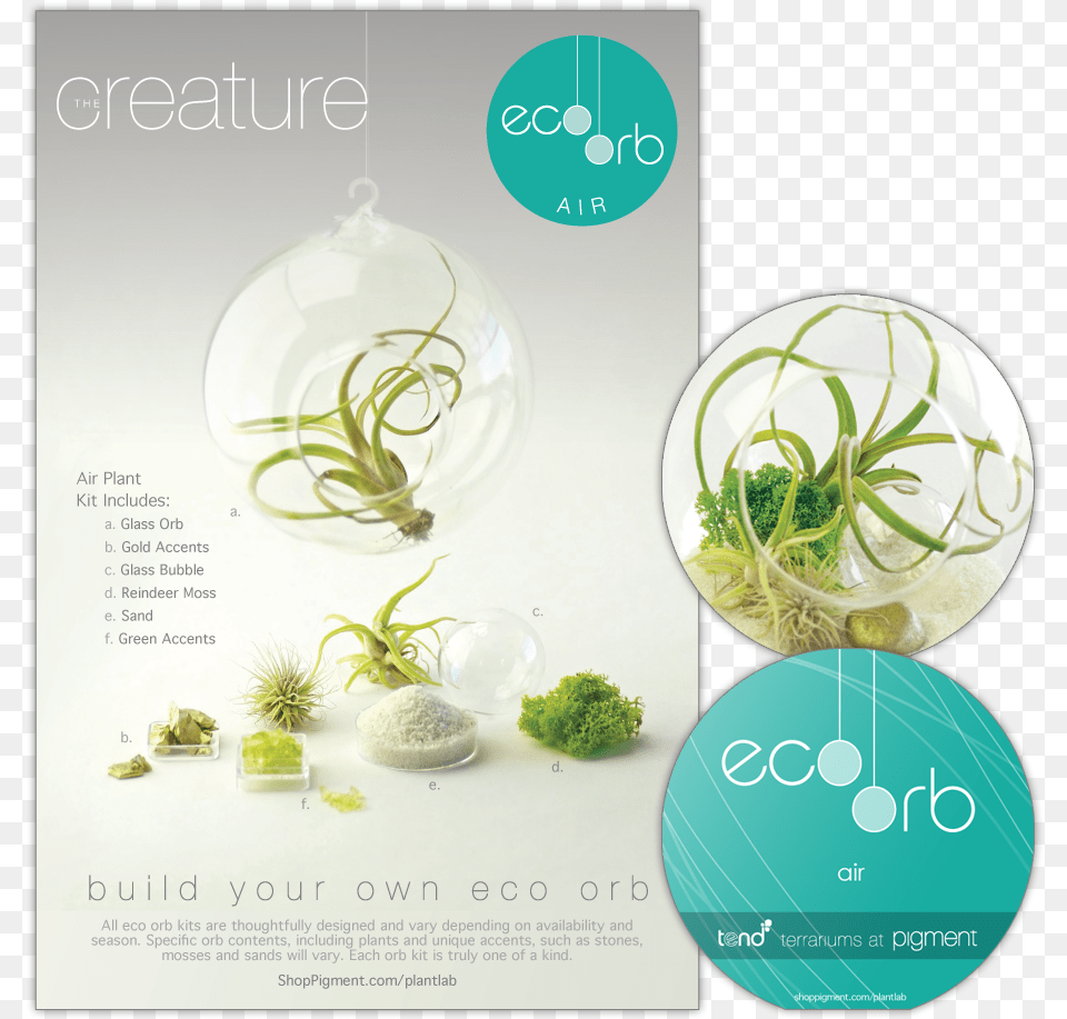 Product Package Design For The Build Your Own Eco Orb Flyer, Advertisement, Moss, Plant, Herbal Free Png
