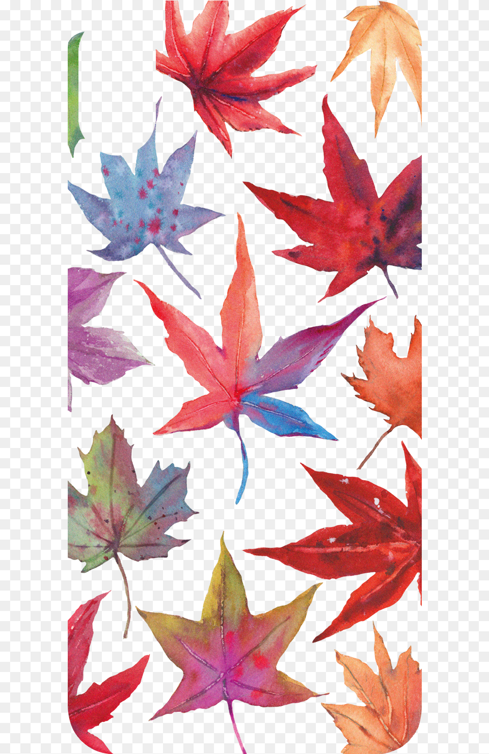 Product Mobile Phone Case, Leaf, Plant, Tree, Maple Png Image