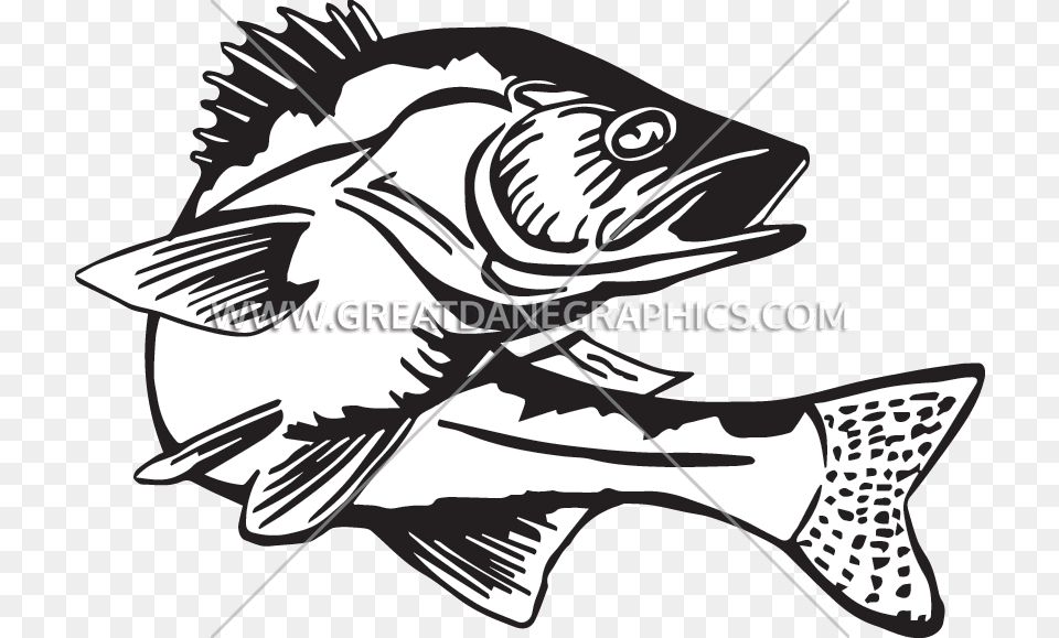 Production Ready Artwork For Fishing Clipart Black And White Animal, Sea Life, Fish, Shark Free Png