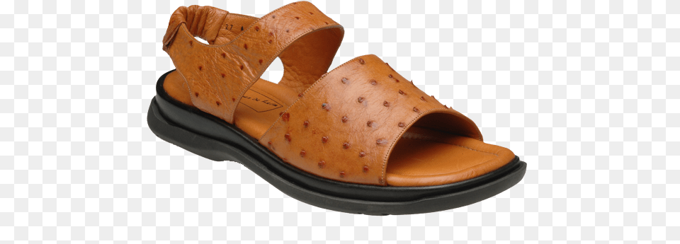 Productos De Avestruz, Clothing, Footwear, Sandal, Shoe Free Png Download