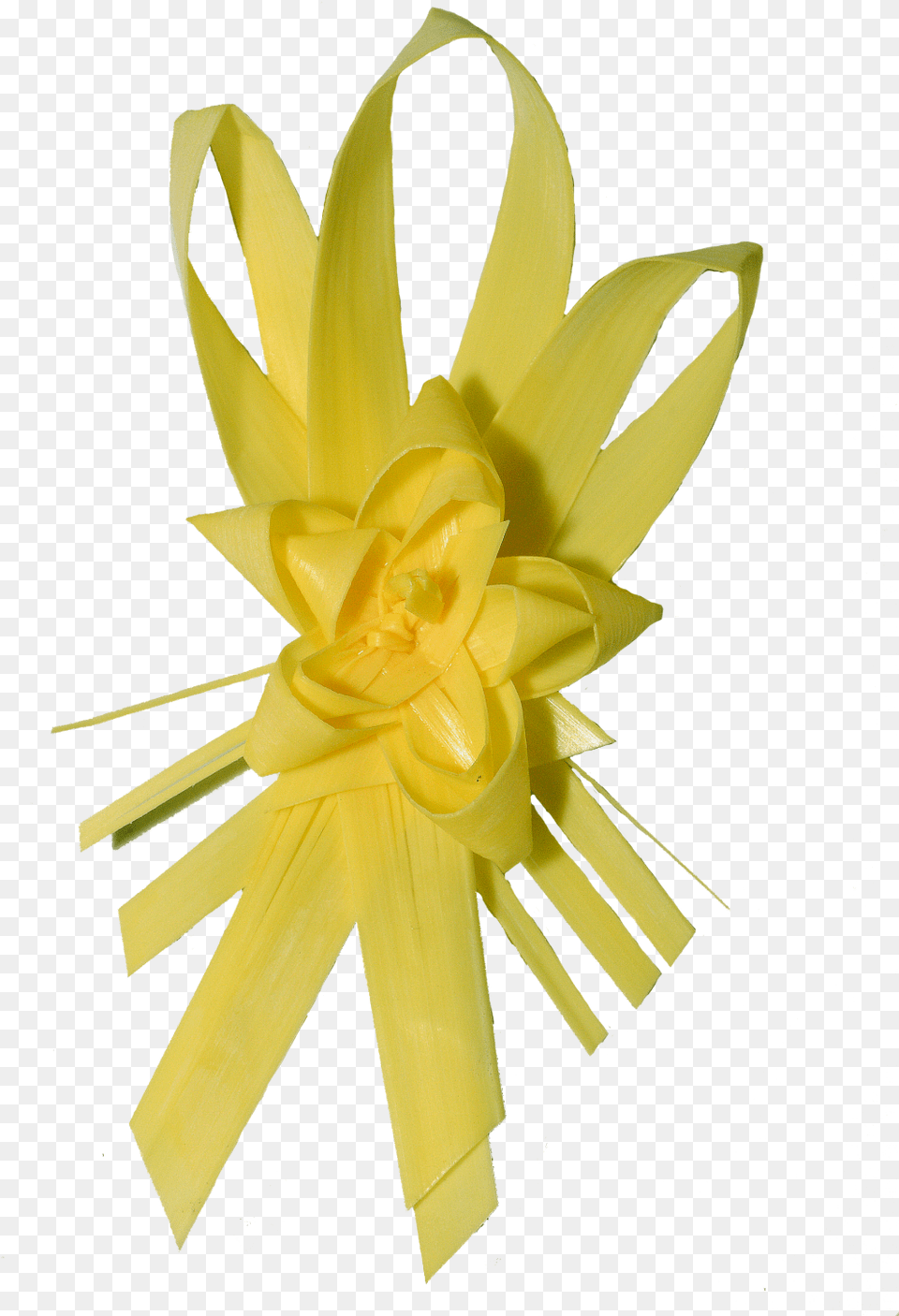 Productos Handmade Palma Domingo De Ramospalma Semana Artificial Flower, Plant, Daffodil, Rose Free Png