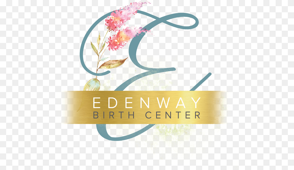 Products Edenway Birth Center Event, Art, Pattern, Graphics, Floral Design Free Transparent Png