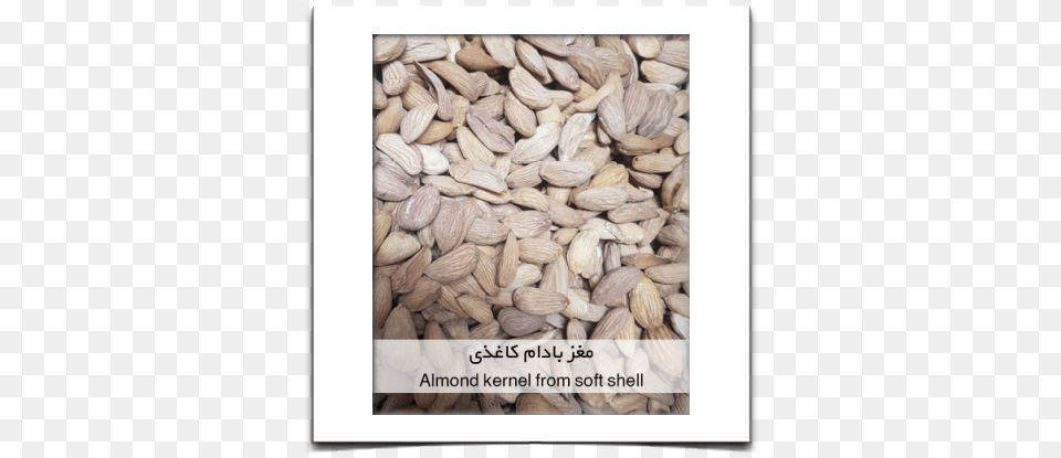 Products Malt, Food, Produce, Grain, Seed Png