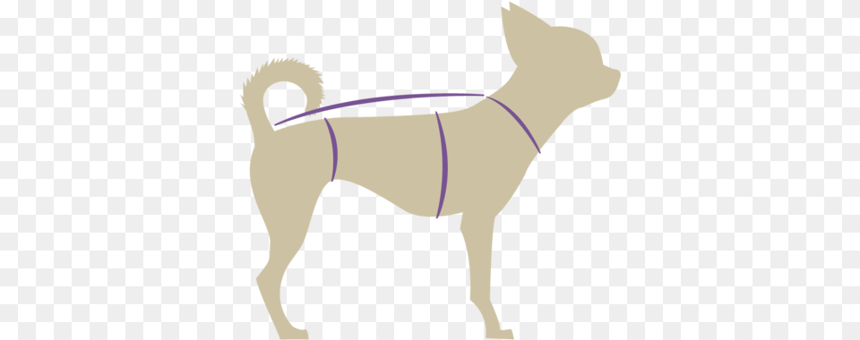 Products Quirkysqrl Ancient Dog Breeds, Baby, Person, Accessories, Strap Free Transparent Png