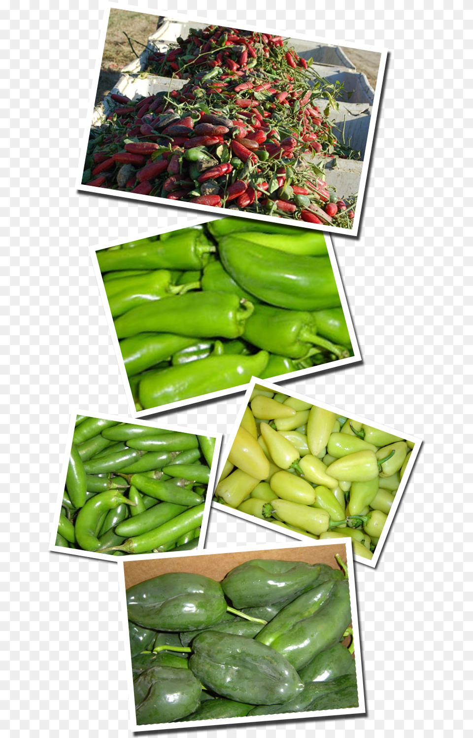 Productsides Peppers Snap Pea, Art, Collage, Food, Pepper Free Transparent Png