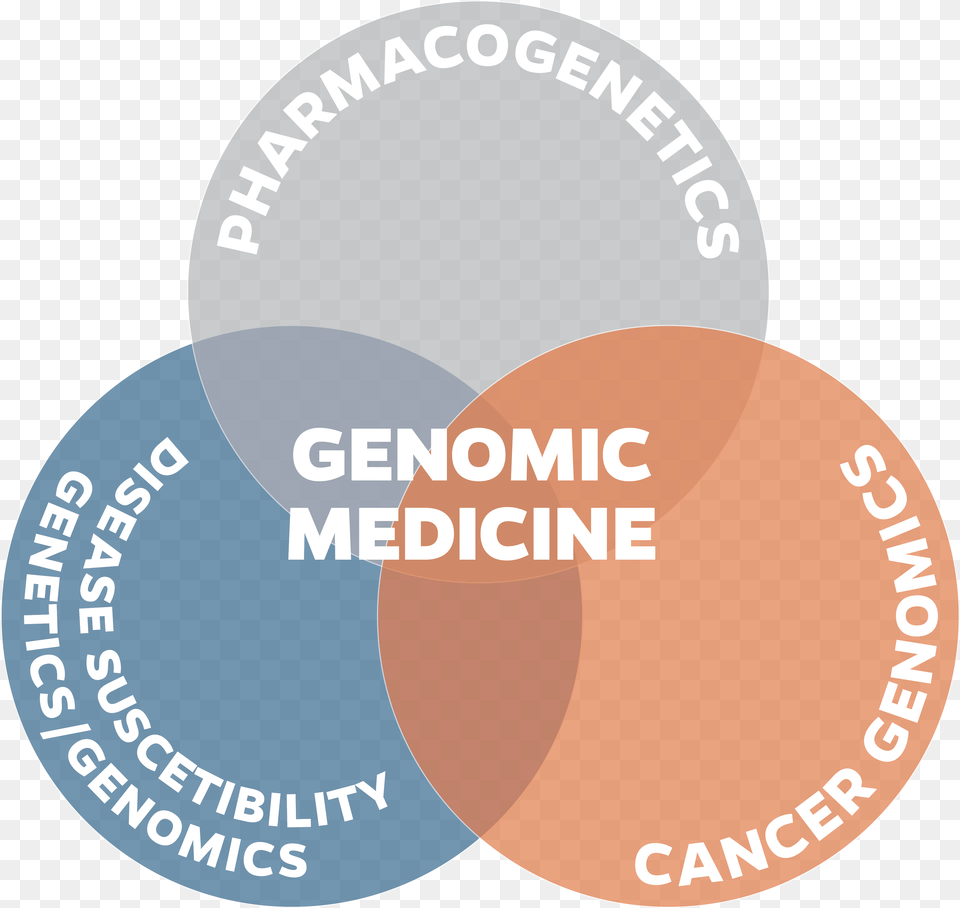 Proerd, Diagram, Disk, Venn Diagram Png