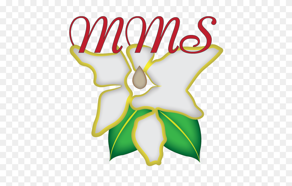 Professional Bold Preschool Logo Design For Magnolia Montessori, Art, Graphics, Leaf, Plant Free Png