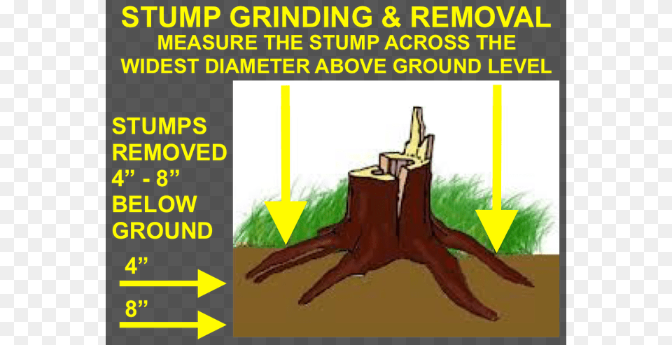 Professional Stump Removal Stump Grinder, Plant, Tree, Tree Stump Free Transparent Png