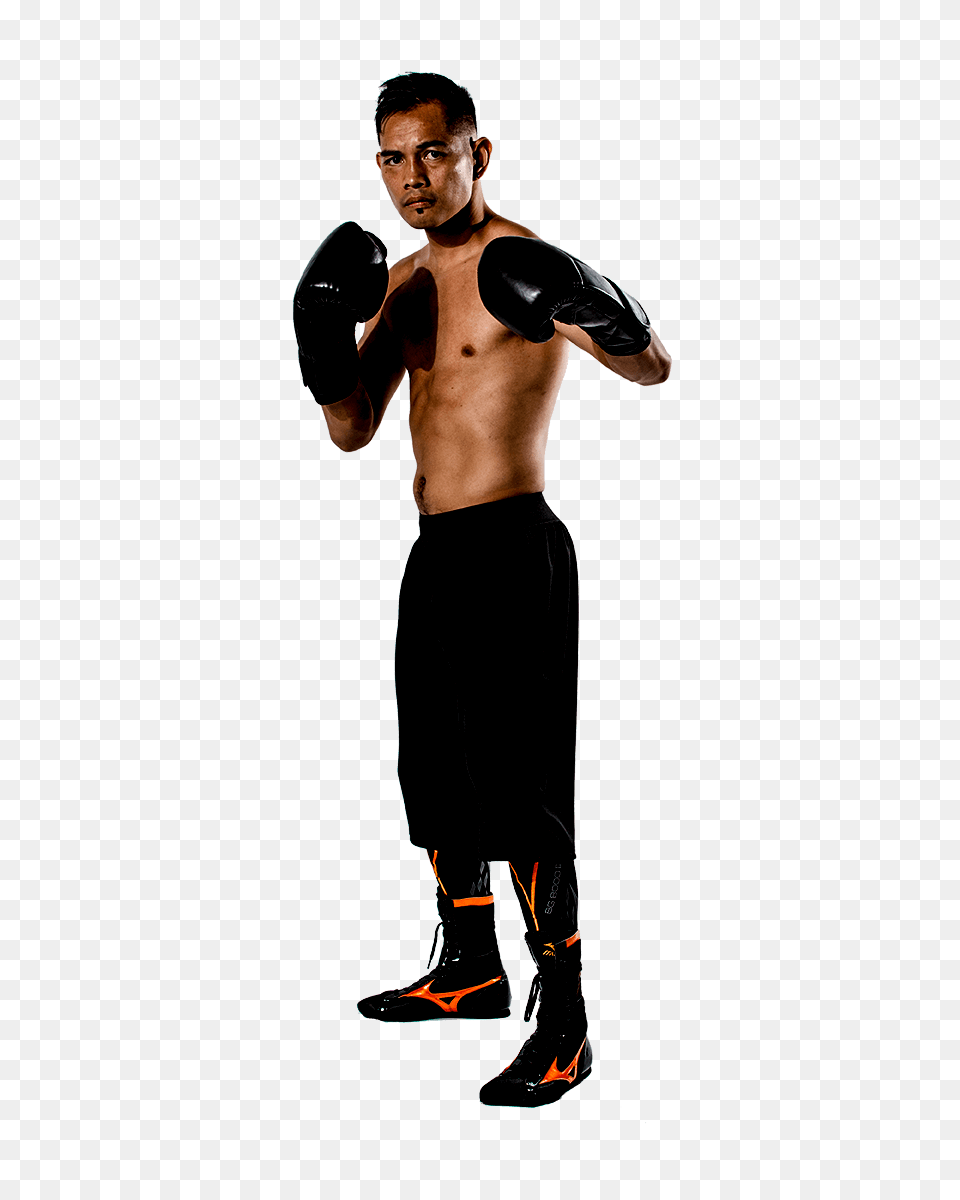 Profile Nonito Donaire Right World Boxing Super Series, Adult, Male, Man, Person Png