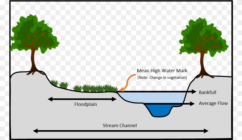 Profile Of A Stream Depicting Common Hydraulic Features Cartoon, Tree, Potted Plant, Plant, Vegetation Png