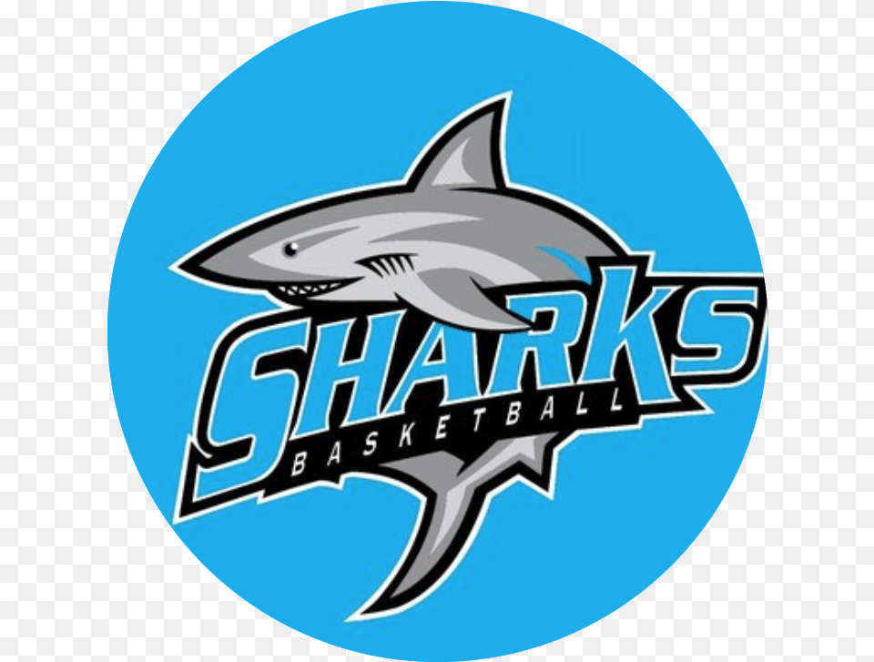 Program Preview Sharks Basketball Prep Hoops, Animal, Sea Life, Logo Png