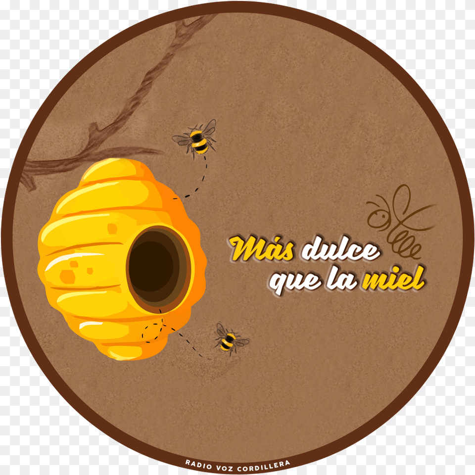 Programas Radio Voz Cordillera Circle, Animal, Bee, Insect, Invertebrate Free Png Download