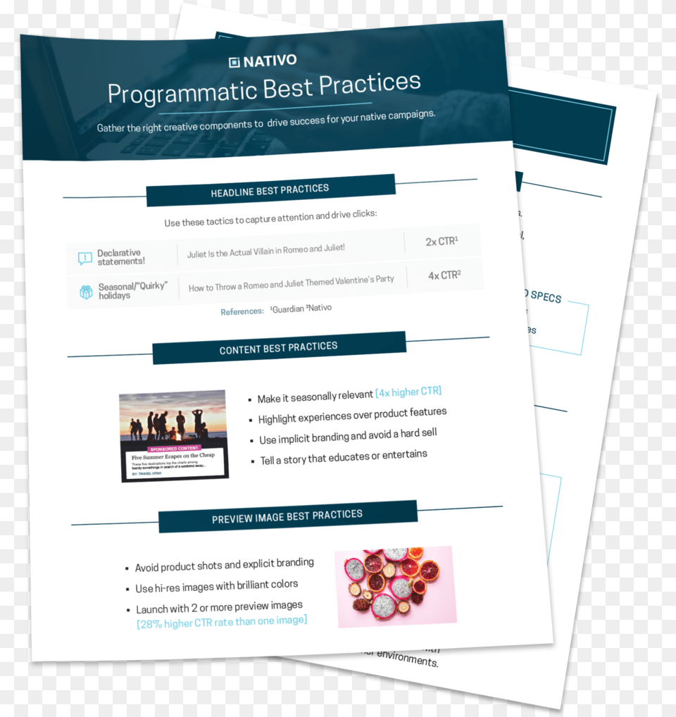 Programmatic Best Practices Brochure, Advertisement, Poster, Person, Text Png