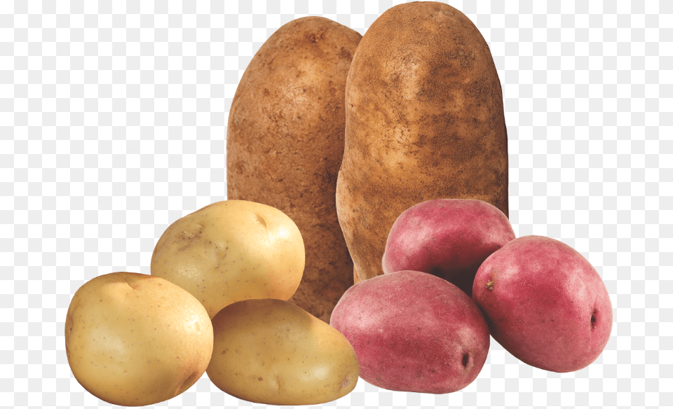 Progressive Produce Guide Tuber, Food, Plant, Potato, Vegetable Free Png