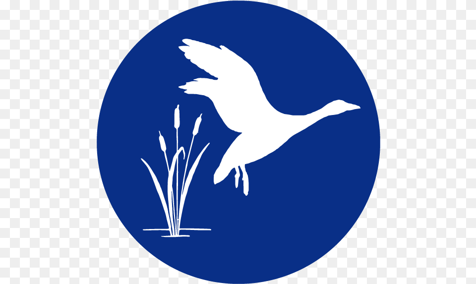 Project Angel Food Logo Illustration, Animal, Bird, Goose, Waterfowl Free Png Download