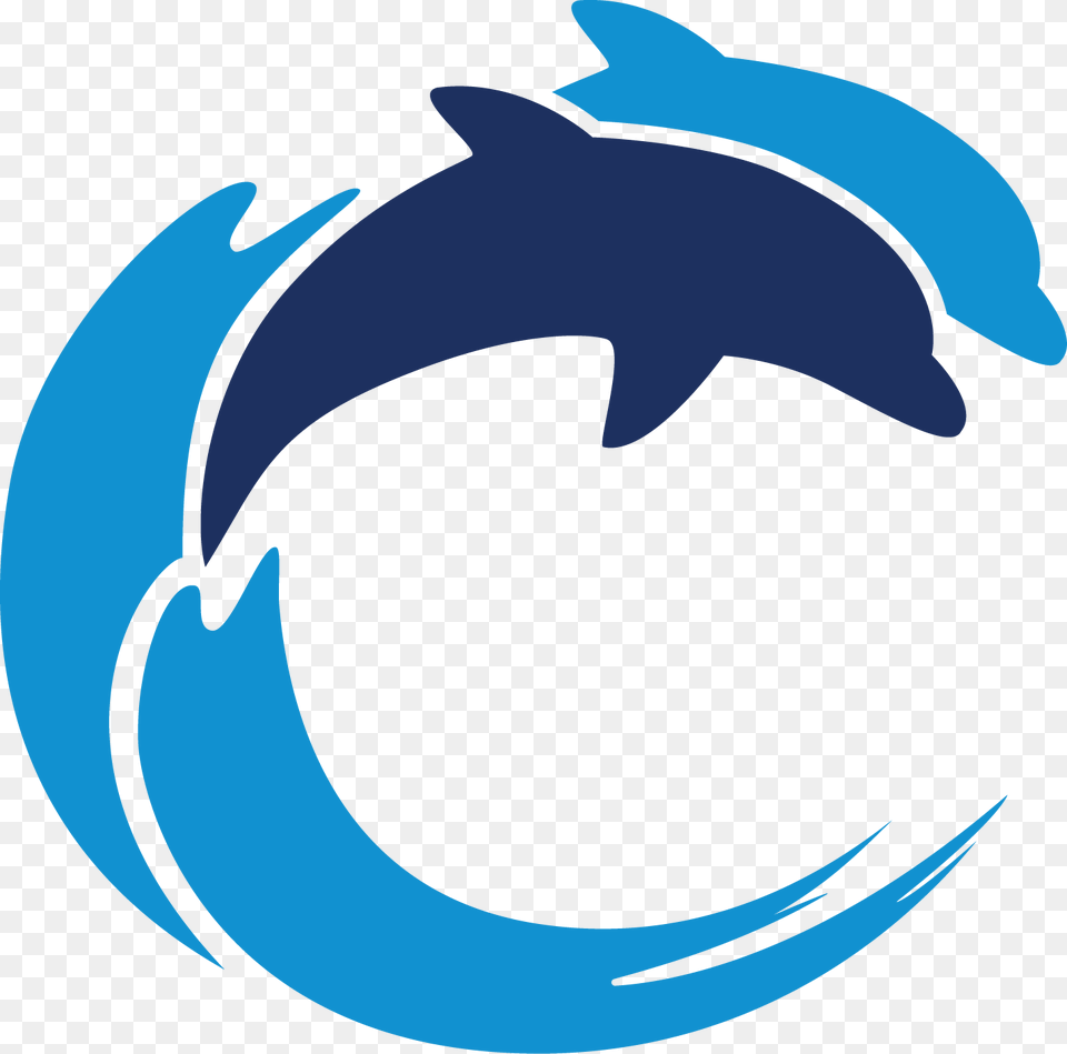 Project Team School Riverside Ca, Animal, Dolphin, Mammal, Sea Life Free Png