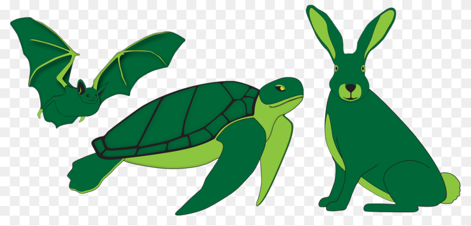 Project To Be Continued In The Future Quarry Life Award, Animal, Reptile, Sea Life, Turtle Png