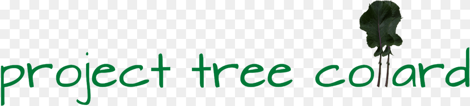 Project Tree Collard Inspiring People To Grow And Share Jpeg, Green, Leaf, Plant, Vegetation Free Png