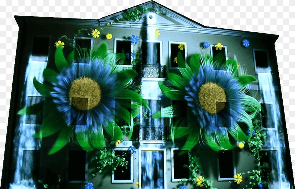 Projection Mapping Flower Design Building, Flower Arrangement, Plant, Flower Bouquet, Sunflower Free Transparent Png