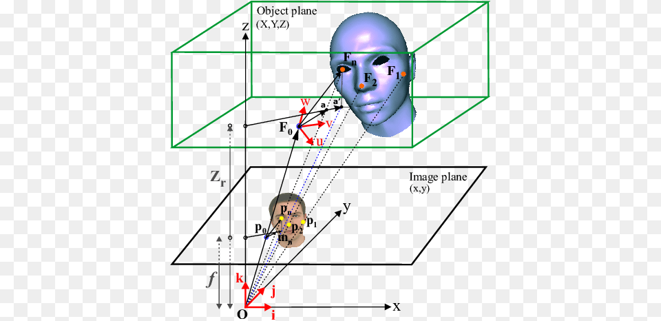 Projection Of A 3d Face Model M Into The Plane Delaunay Triangulation, Chart, Plot, Head, Person Free Png Download