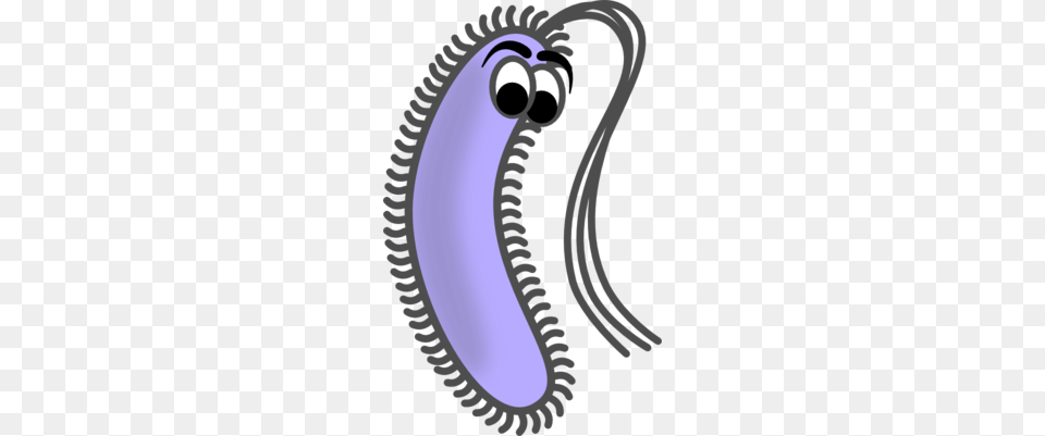 Prokaryote Clipart Desktop Backgrounds Free Png