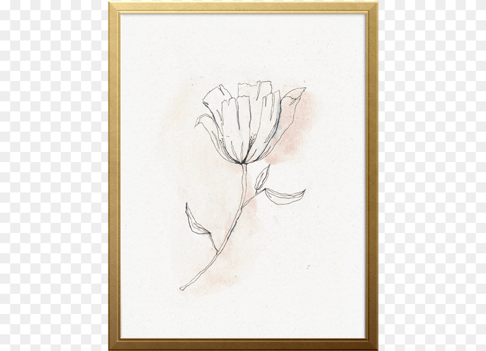 Promise Art Print Sketch, Drawing, Plant Free Transparent Png