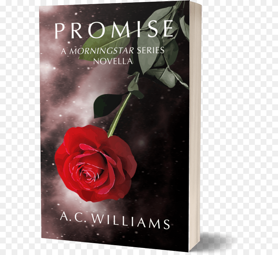 Promise Cover Book Soft Garden Roses, Flower, Plant, Publication, Rose Png