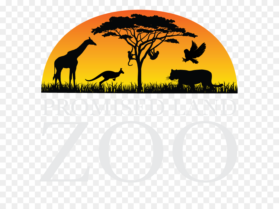 Promised Land Zoos, Animal, Mammal, Kangaroo, Outdoors Free Transparent Png