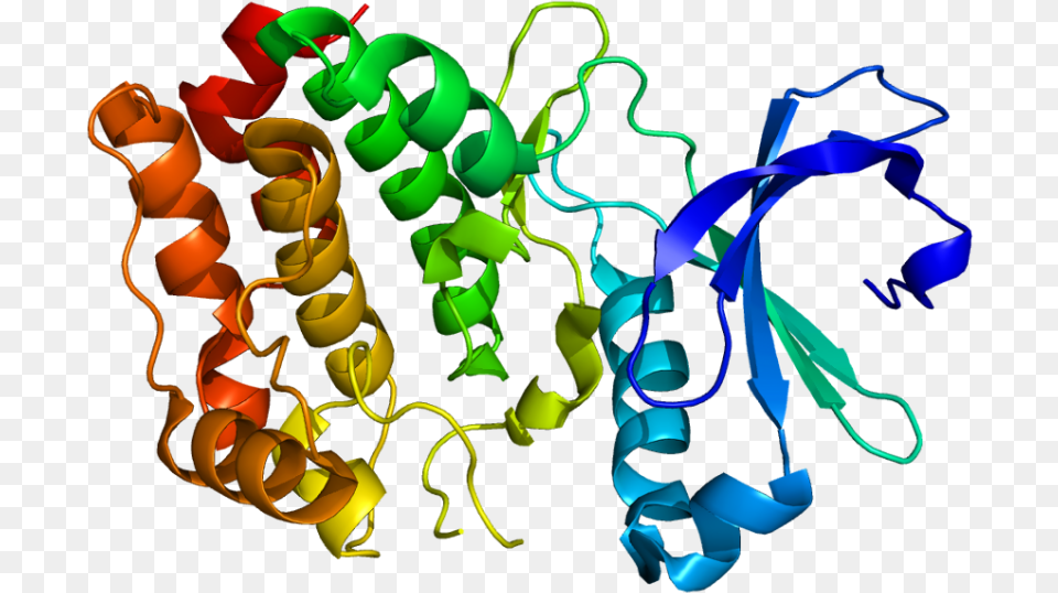 Promising Proteins Scientists Develop New Drug Discovery Kinase Protein, Art, Graphics, Paper, Dynamite Png